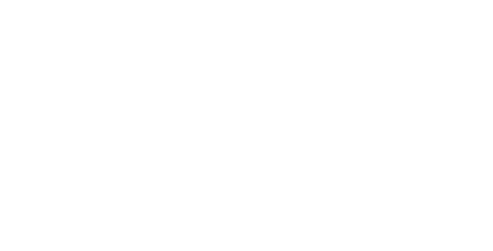 Skin2